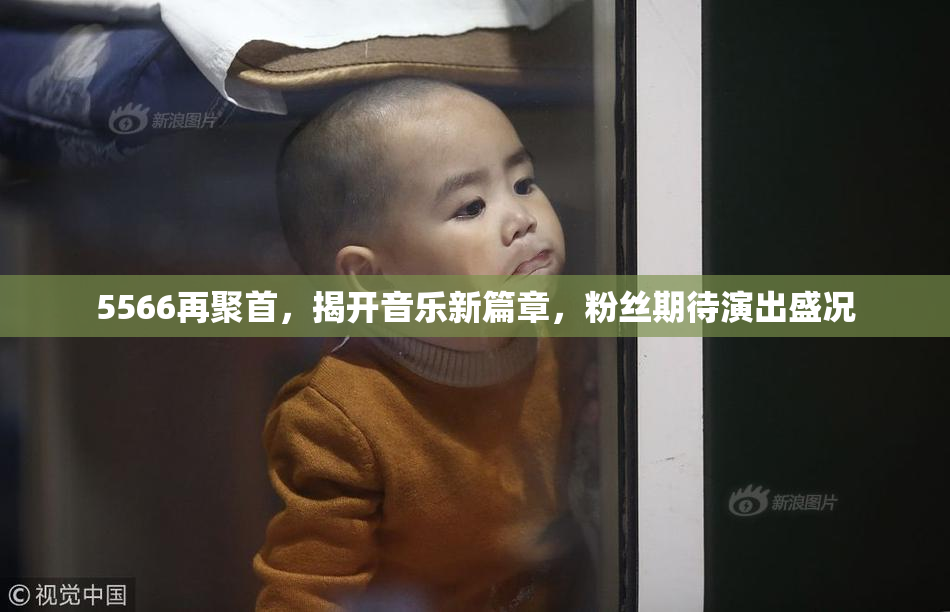 5566再聚首，揭开音乐新篇章，粉丝期待演出盛况