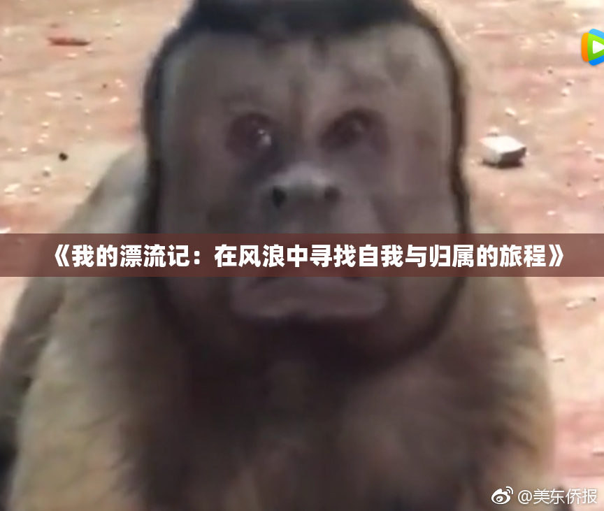《我的漂流记：在风浪中寻找自我与归属的旅程》