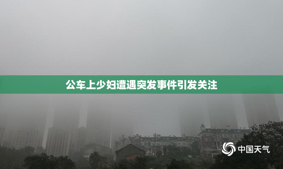 公车上少妇遭遇突发事件引发关注