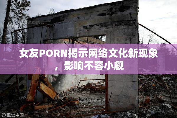 女友PORN揭示网络文化新现象，影响不容小觑