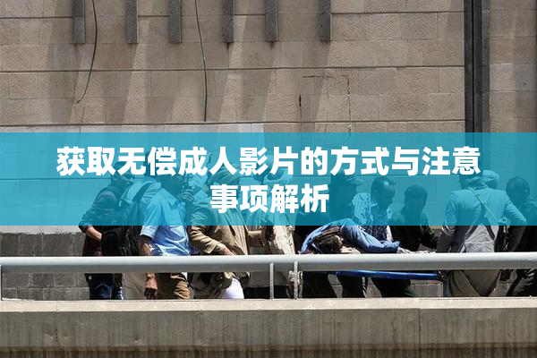 获取无偿成人影片的方式与注意事项解析