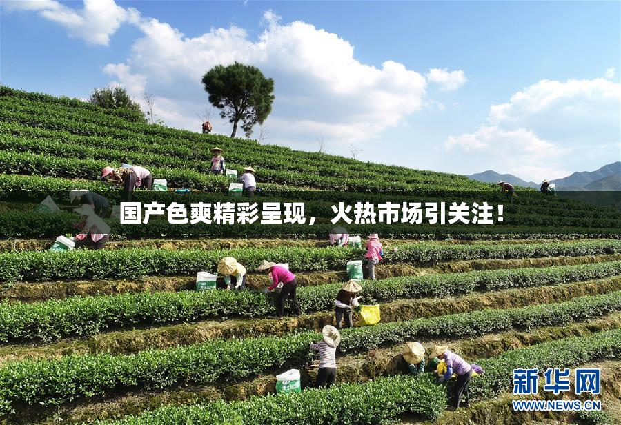 国产色爽精彩呈现，火热市场引关注！