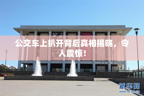 公交车上扒开背后真相揭晓，令人震惊！