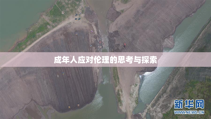 成年人应对伦理的思考与探索