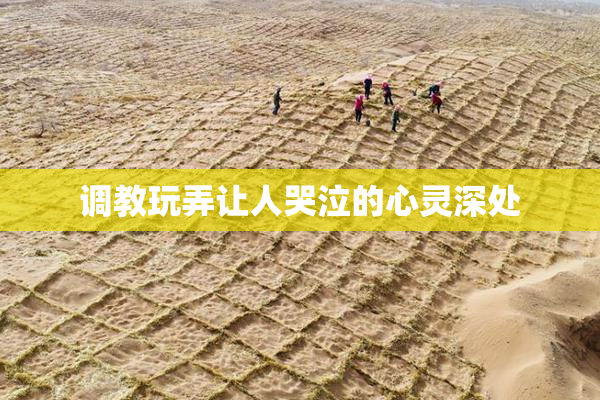 调教玩弄让人哭泣的心灵深处