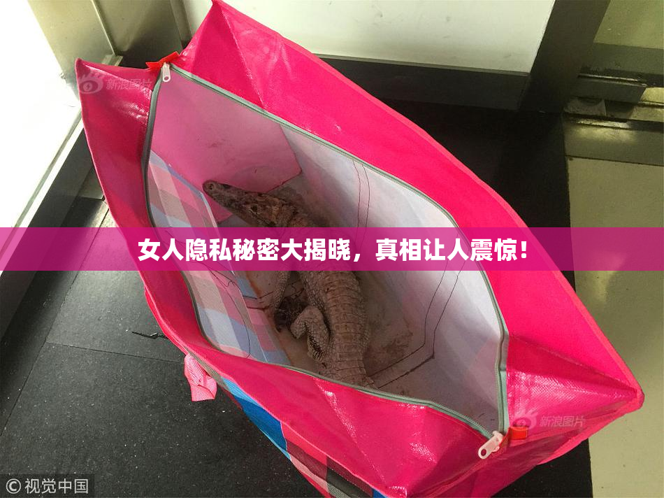 女人隐私秘密大揭晓，真相让人震惊！