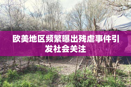 欧美地区频繁曝出残虐事件引发社会关注