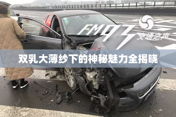 双乳大薄纱下的神秘魅力全揭晓