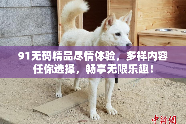 91无码精品尽情体验，多样内容任你选择，畅享无限乐趣！