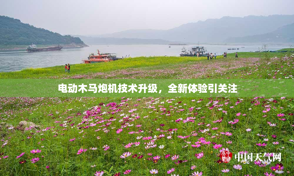 电动木马炮机技术升级，全新体验引关注