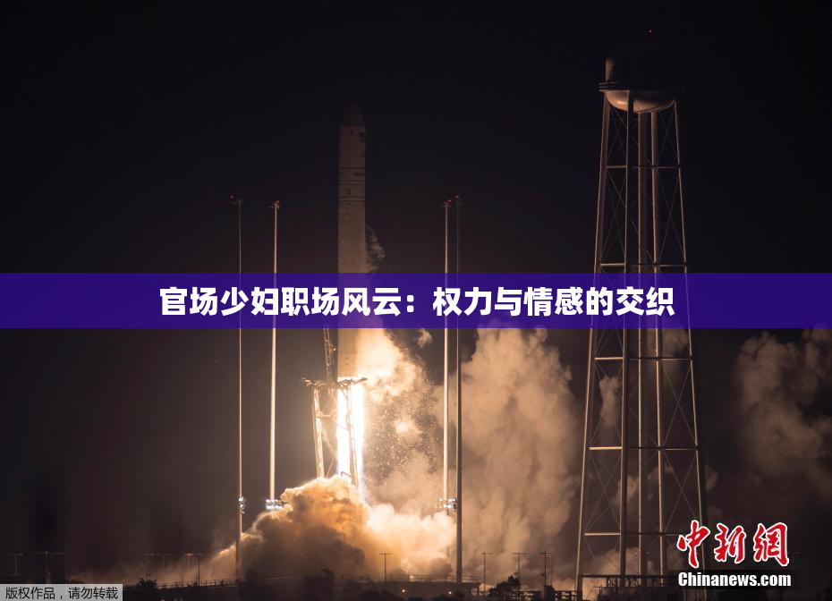 官场少妇职场风云：权力与情感的交织
