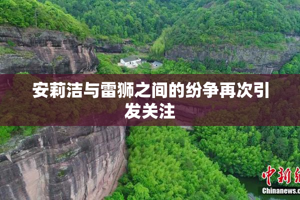 安莉洁与雷狮之间的纷争再次引发关注