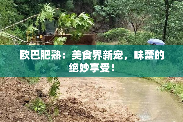 欧巴肥熟：美食界新宠，味蕾的绝妙享受！