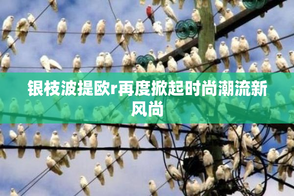 银枝波提欧r再度掀起时尚潮流新风尚
