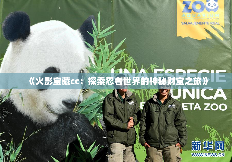 《火影宝藏cc：探索忍者世界的神秘财宝之旅》