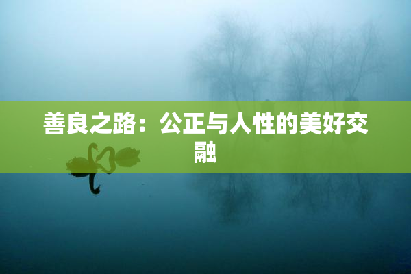 善良之路：公正与人性的美好交融