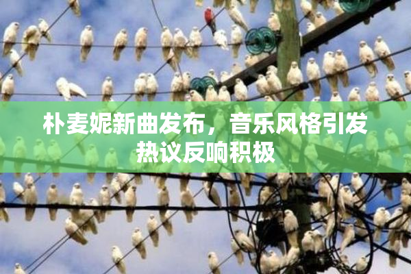 朴麦妮新曲发布，音乐风格引发热议反响积极