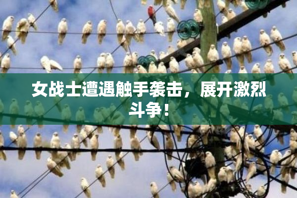 女战士遭遇触手袭击，展开激烈斗争！