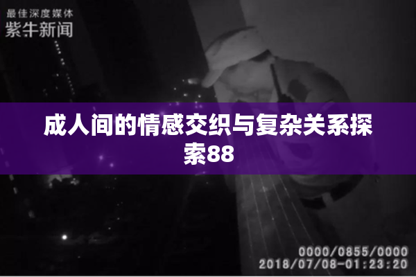 成人间的情感交织与复杂关系探索88