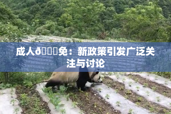 成人🔞免：新政策引发广泛关注与讨论