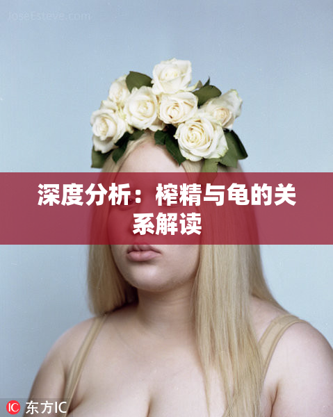 深度分析：榨精与龟的关系解读
