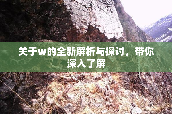 关于w的全新解析与探讨，带你深入了解