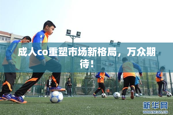 成人co重塑市场新格局，万众期待！