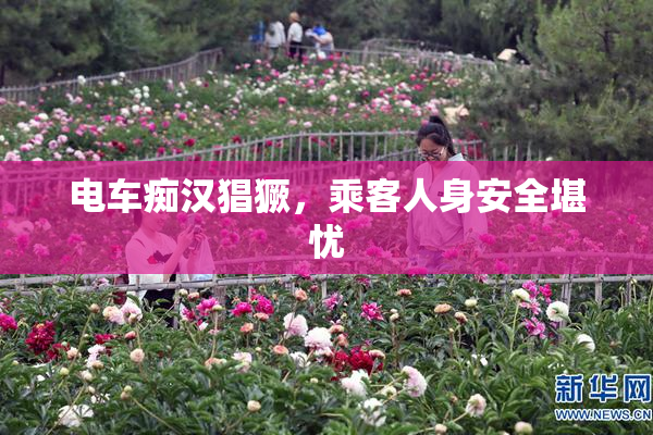 电车痴汉猖獗，乘客人身安全堪忧