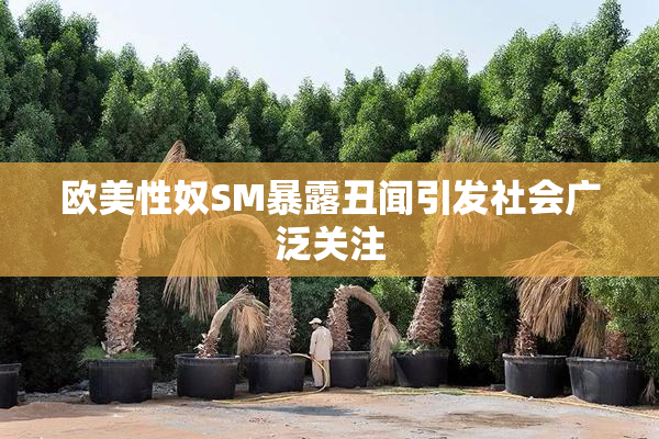 欧美性奴SM暴露丑闻引发社会广泛关注