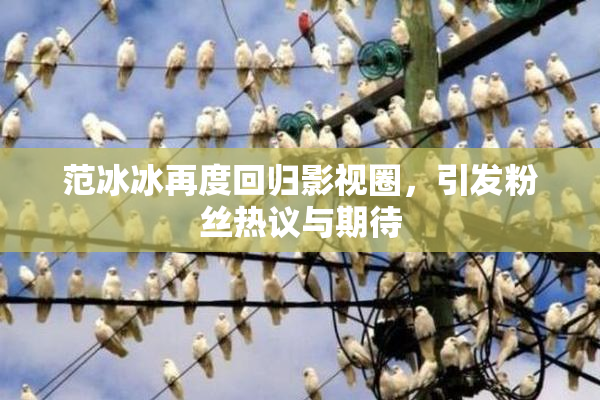 范冰冰再度回归影视圈，引发粉丝热议与期待