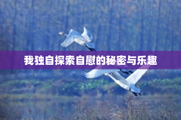 我独自探索自慰的秘密与乐趣