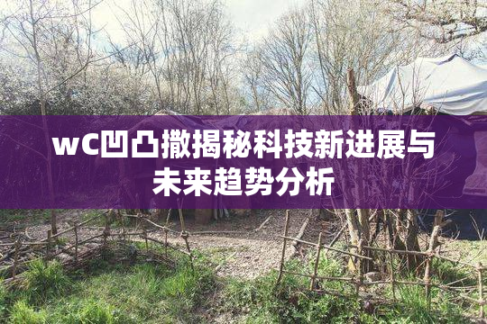 wC凹凸撒揭秘科技新进展与未来趋势分析