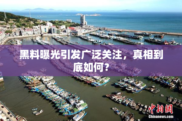 黑料曝光引发广泛关注，真相到底如何？