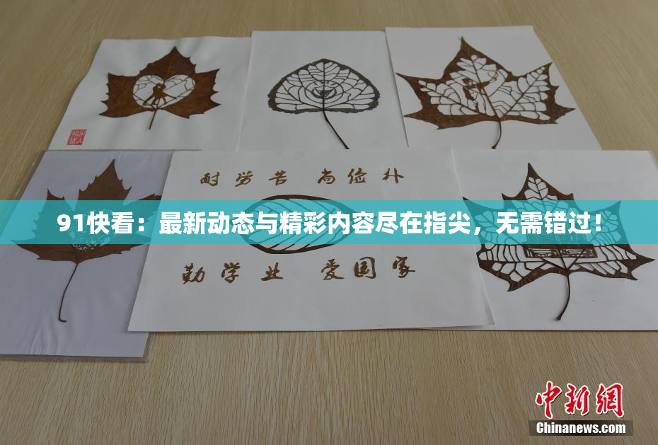 91快看：最新动态与精彩内容尽在指尖，无需错过！