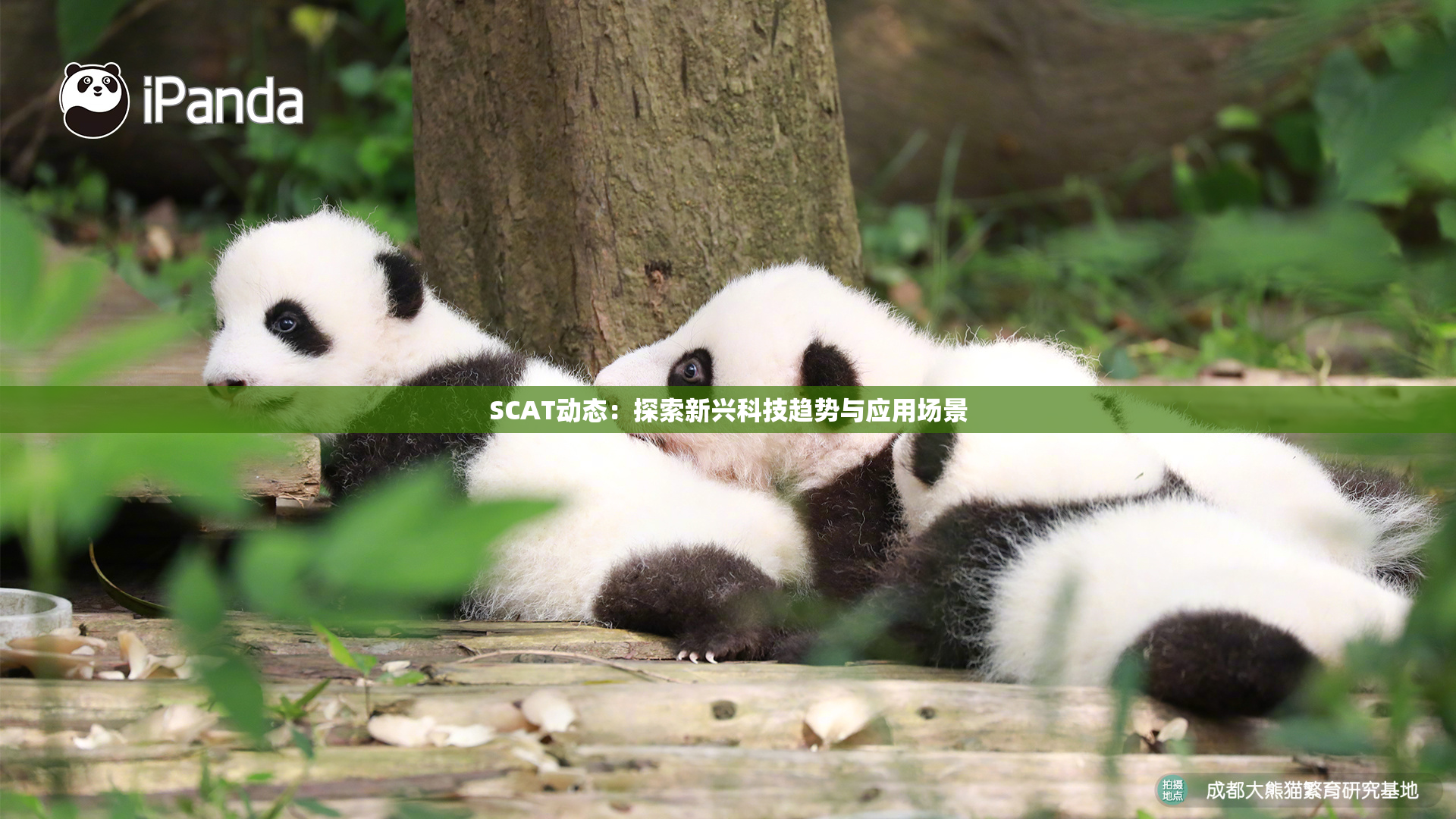 SCAT动态：探索新兴科技趋势与应用场景