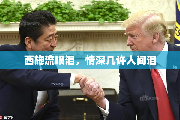 西施流眼泪，情深几许人间泪