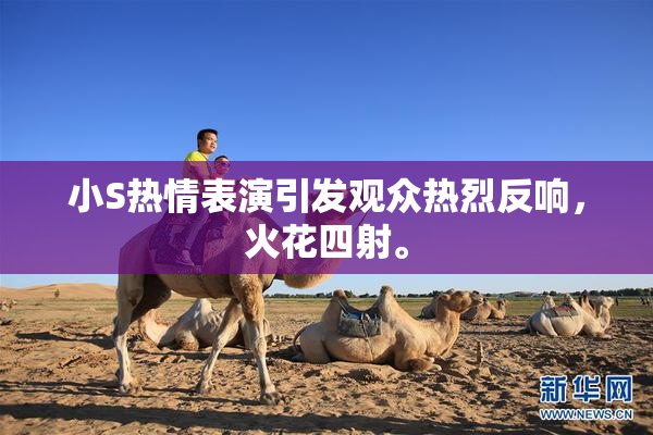 小S热情表演引发观众热烈反响，火花四射。
