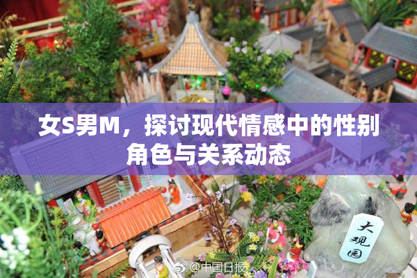 女S男M，探讨现代情感中的性别角色与关系动态