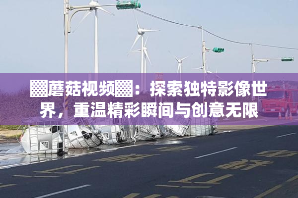 ▓蘑菇视频▓：探索独特影像世界，重温精彩瞬间与创意无限