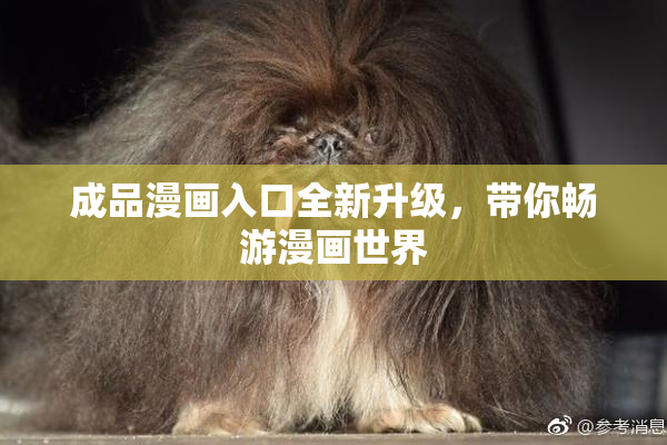 成品漫画入口全新升级，带你畅游漫画世界