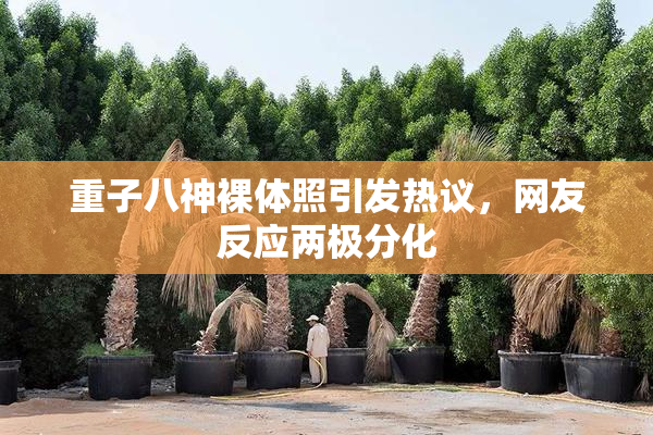重子八神裸体照引发热议，网友反应两极分化