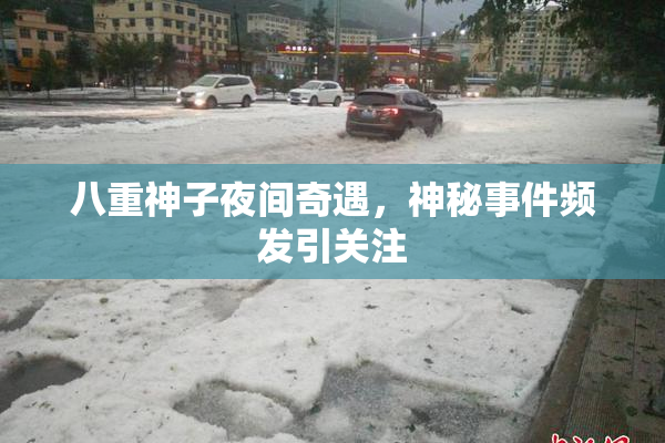 八重神子夜间奇遇，神秘事件频发引关注