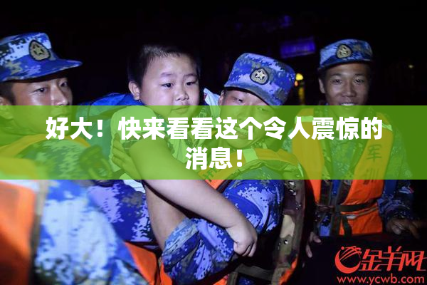 好大！快来看看这个令人震惊的消息！