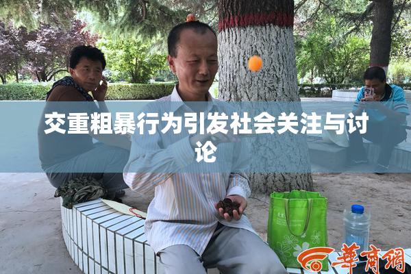 交重粗暴行为引发社会关注与讨论