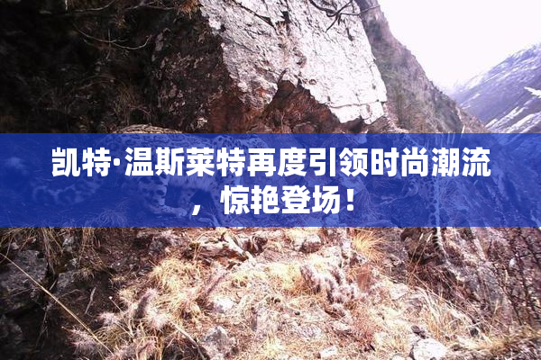 凯特·温斯莱特再度引领时尚潮流，惊艳登场！