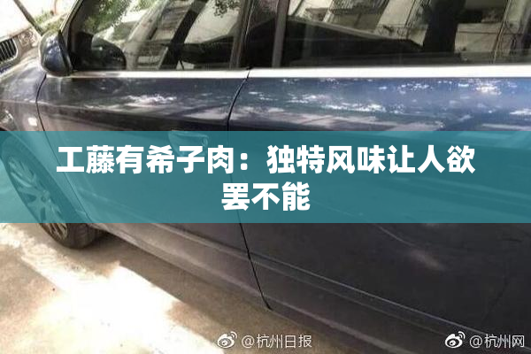工藤有希子肉：独特风味让人欲罢不能