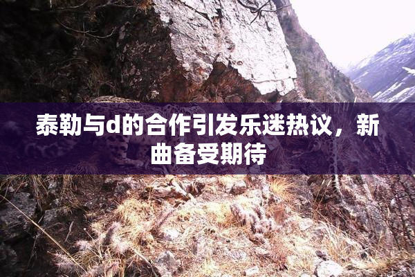 泰勒与d的合作引发乐迷热议，新曲备受期待
