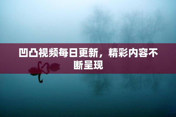 凹凸视频每日更新，精彩内容不断呈现