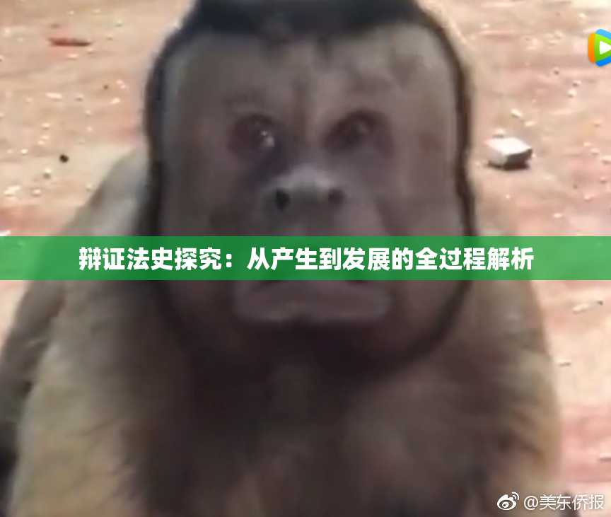 辩证法史探究：从产生到发展的全过程解析