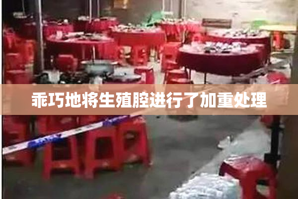乖巧地将生殖腔进行了加重处理